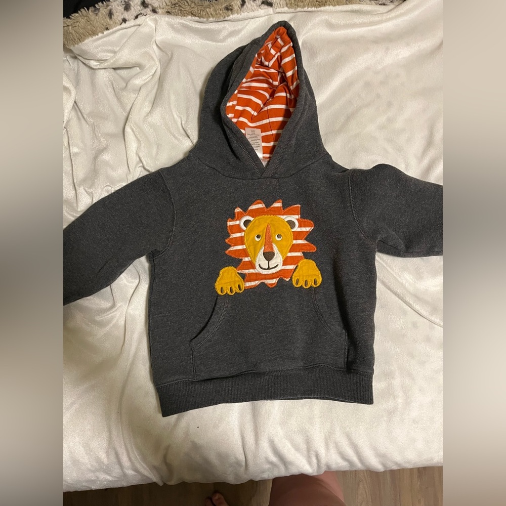 Lion Hoodie. Hardly Worn. Unisex.